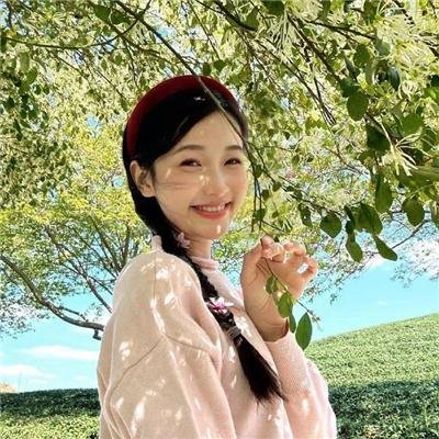 与鲨同游