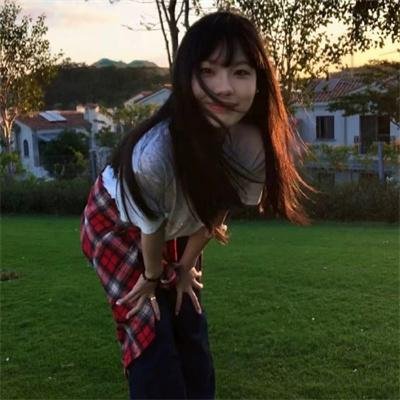 犬之力